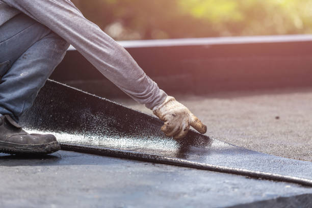 Professional Interior Drainage System technician working in Amissville, VA